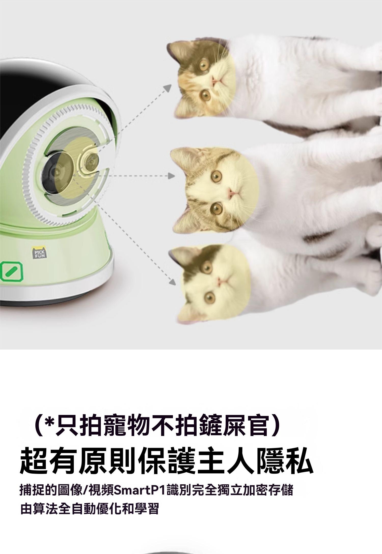 O1CN01NZ8Mmf1Y1akyrXhNL_2214657262999