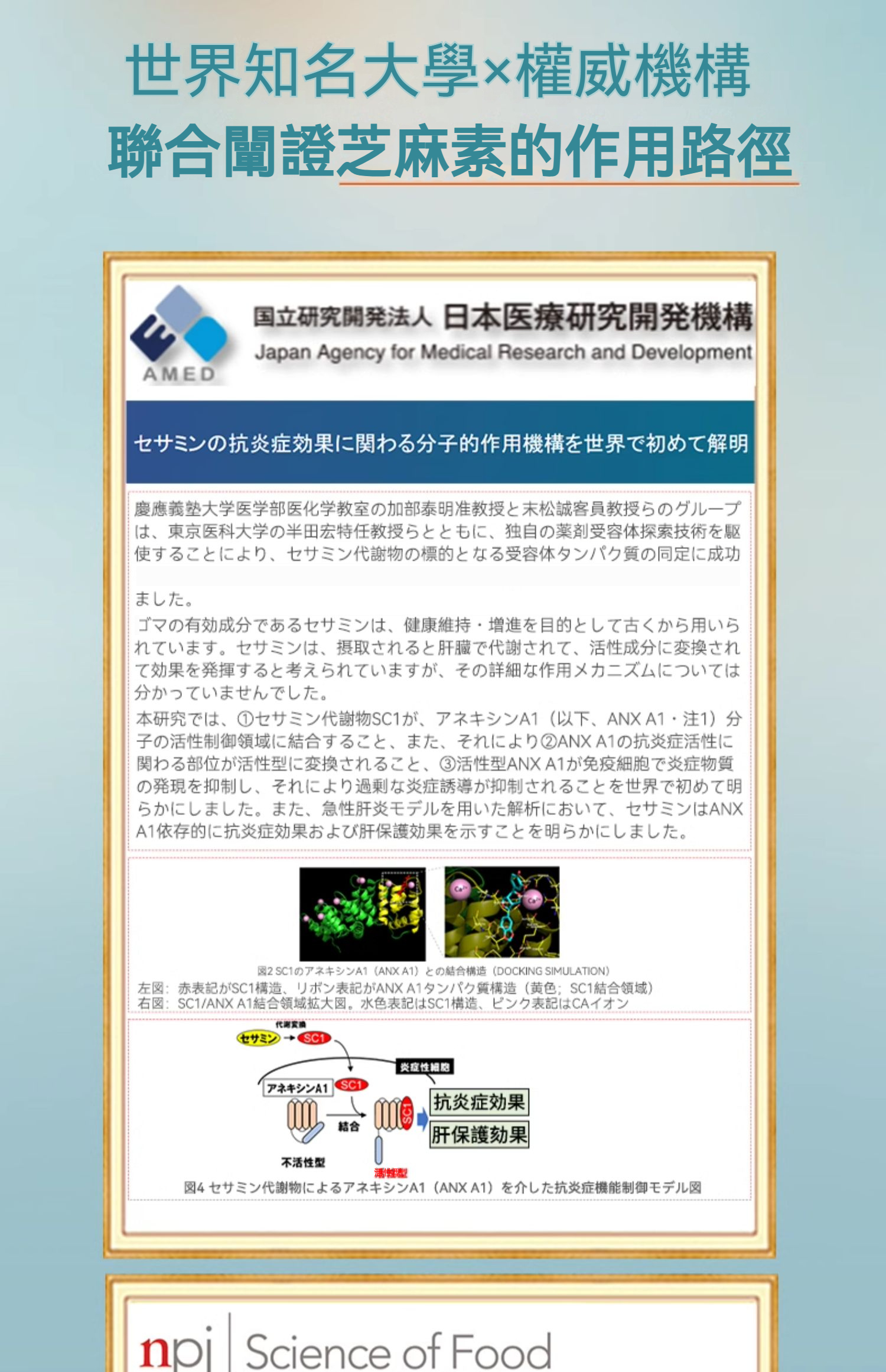 補3