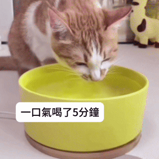 63961bc8605a81ae710f732d50e5cda0.png
